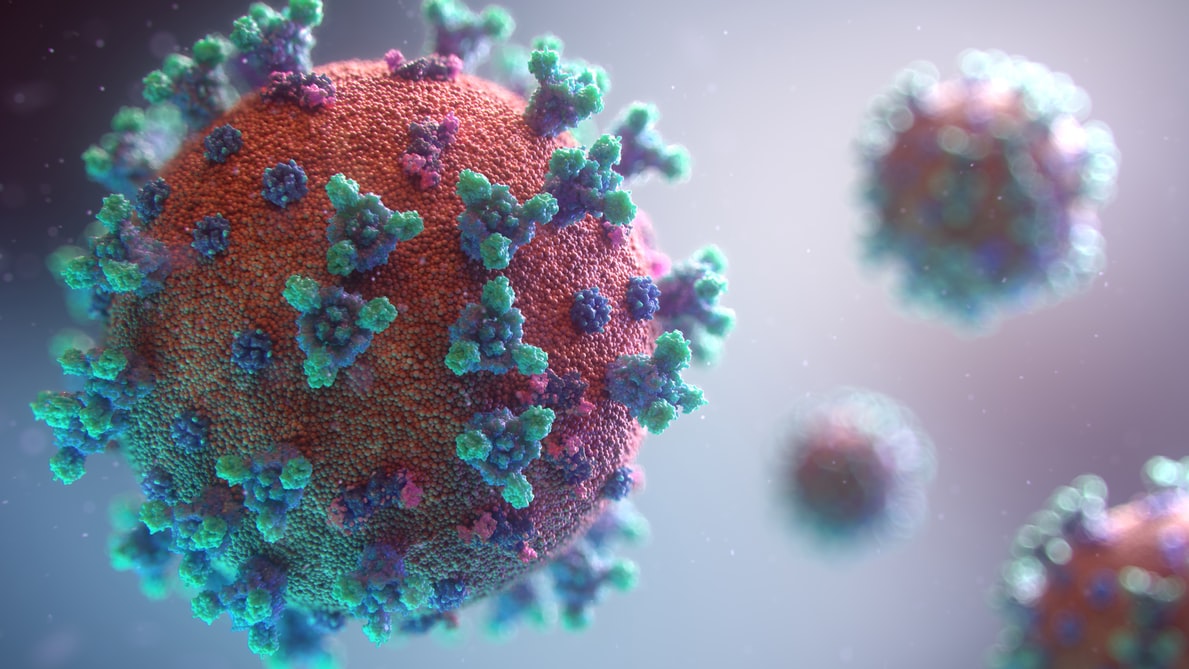 Infos zur Corona-Virus-Pandemie (SARS-Cov-2)